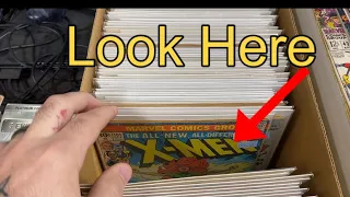 SEARCH For Comic Books Here | Renningers Flea Market PA So Cheap!!! BEST Flea Market Ever