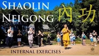 Shaolin Neigong (內功) · Internal exercises