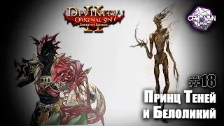 Divinity: Original Sin II – Принц Теней и Белоликий