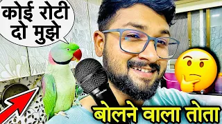 बोलने वाला तोता #talkingparrot #mitthu #bolnewalatota #petslover #animallover #birds #mitthuraja