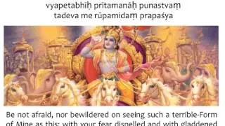 Bhagavad Gita Chapter 11 - Verse 49