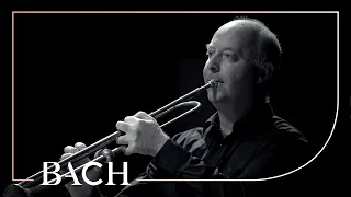 Bach - Brandenburg Concerto no. 2 in F major BWV 1047 - Sato | Netherlands Bach Society