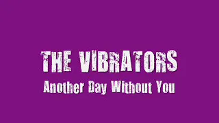 Vibrators   Another Day Without You