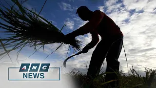 PH House panel holds hearing on agricultural smuggling | ANC