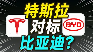 特斯拉投资者大会，马斯克言论吓坏人？【大小马聊科技54】-下