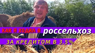 Как я ходил в россельхозбанк брать кредит под 3,5. Сколько мне дали. Вечерняя дойка в деревне.