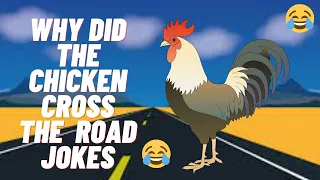 Why Did the Chicken Cross the Road | 50+ Chicken Jokes
