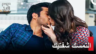 مع أويكو وأيار نحو العشق #81 - موسم الكرز