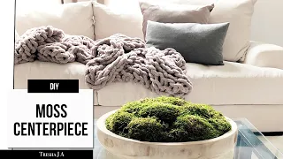 DIY Moss Centerpiece - Coffee Table Decor