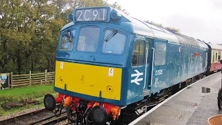 South Devon Railway Diesel Gala. 8th November 2014. Part 1
