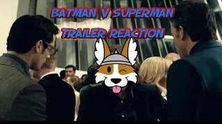 Live Batman V Superman Trailer Reaction - Professor Thorgi