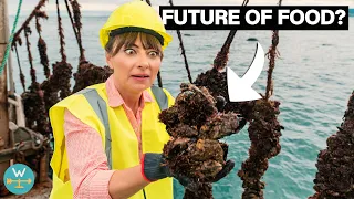 Is Ocean Farming The Future of Food?