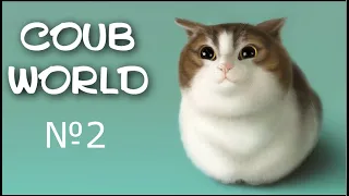 coub world #2 BEST COUB | BEST CUBE | NEW COUB