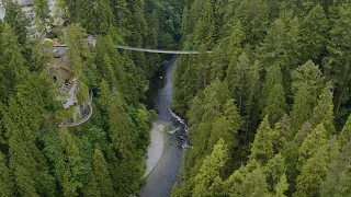 Experience Capilano Suspension Bridge Park