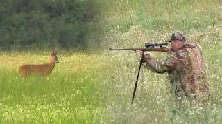 Hunting Serbia - Roe deer hunting | Lov srndaća Mladenovac 1 | Caccia al capriolo | Jagd auf Rehwild