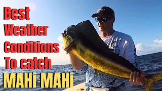 Best weather conditions to catch MAHI MAHI