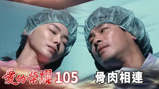 愛的榮耀 EP105 骨肉相連｜Glory of Love