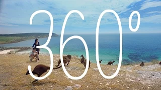 Stokes Bay, Kangaroo Island, South Australia, Australia | 360 Video | Tourism Australia
