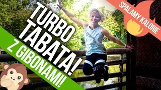 TURBO TABATA | trening z gibonami z ZOO | Spalamy kalorie 🔥🔥 | Codziennie Fit