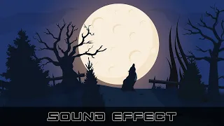 Wildlife | Wolf Growl 3 | No Copyright Wolf Sound Effects