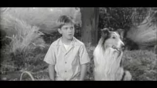 Lassie S02 E10 - Rival