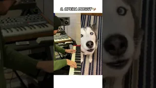 Top 5 singing dogs