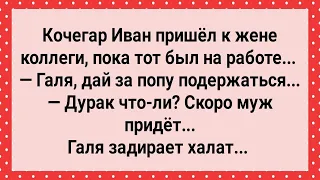 Кочегар Иван Пришел к Жене Коллеги! Сборник Свежих Анекдотов! Юмор!