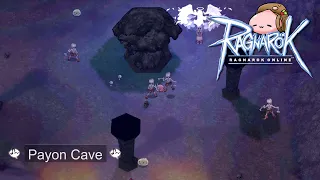 Payon Cave F1~3 - Ancient groover 1 Hour (Ragnarok Online Music & Ambience)