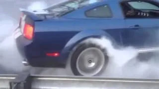 2007 Shelby GT500 and Bullitt Burnout