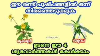 ദൈവാനുഗ്രഹത്താൽ ഉടനെ കേൾക്കാൻ പോകുന്ന ശുഭവാർത്തകൾ. thodukuri shastram. jyothisham prediction.