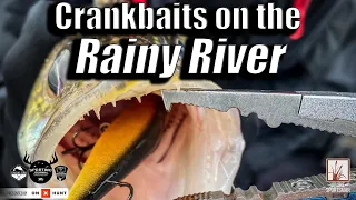 How to 3-Way Rig Crankbaits for Fussy Walleyes on the Rainy River (Segment)