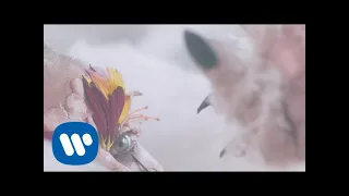Hayley Williams - Leave It Alone [Official Music Video]