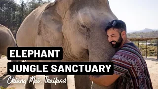 AMAZING ELEPHANT SANCTUARY experience (with TREKKING) in Chiang Mai | Thailand | Vlog 057