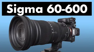 Sigma 60-600mm DG DN review: NEW VERSION! Best super-zoom for wildlife?