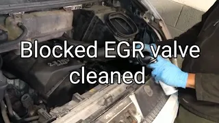 How To Clean Blocked EGR Valve Without Removing It