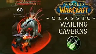 Most Damage Done in Wailing Caverns as a Rogue | WoW Classic Dungeon Run