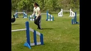 Entrainement 1er mai Largo jumping