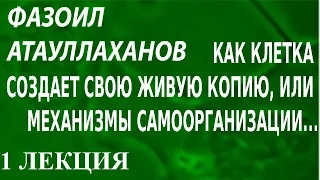 ACADEMIA. Фазоил Атауллаханов. Как клетка создает свою живую копию,.. 1 лекция