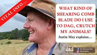 what shearing combs to use when crutching dagging cleaning backend of sheep