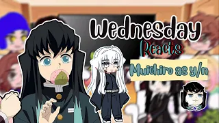 Wednesday reacts to M!y/n as Muichiro Tokito // Season 3‼️