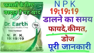 NPK 19:19:19 के फसलों में उपयोग//NPK19:19:19 के फायदे,किमत,डोज,डालने का सही समय,पूरी जानकारी।।