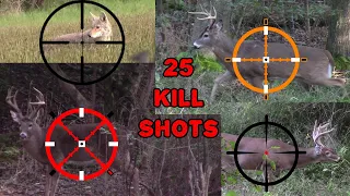 25 Kill Shots In 2 Minutes!!! - Hunting Compilation