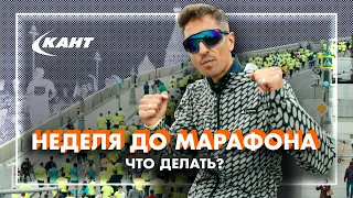 Подготовка к МАРАФОНУ или полумарафону | Недельная подводка