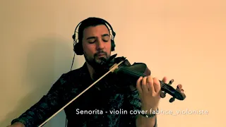 SENORITA - Violin Cover