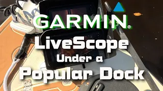 Livescope under Popular Fishing Dock, What is that?