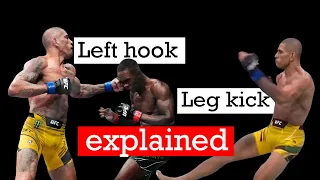 Biomechanics of Alex's Left hook and leg kick explained.