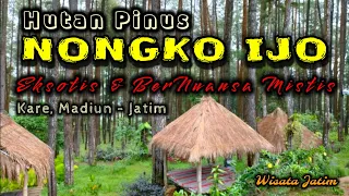 Wisata Hutan Pinus Nongko Ijo