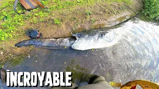 Pêche INCROYABLE en Loire : 3m30 de SILURES !