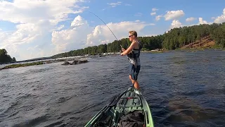 The Fish Were STACKED Up on this GIANT River!!