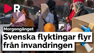 Morgongänget: Svenska flyktingar flyr från invandringen